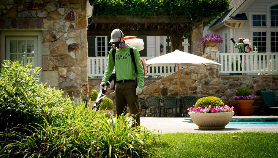 Find Relief With Our Powerful Mosquito Spraying Service!