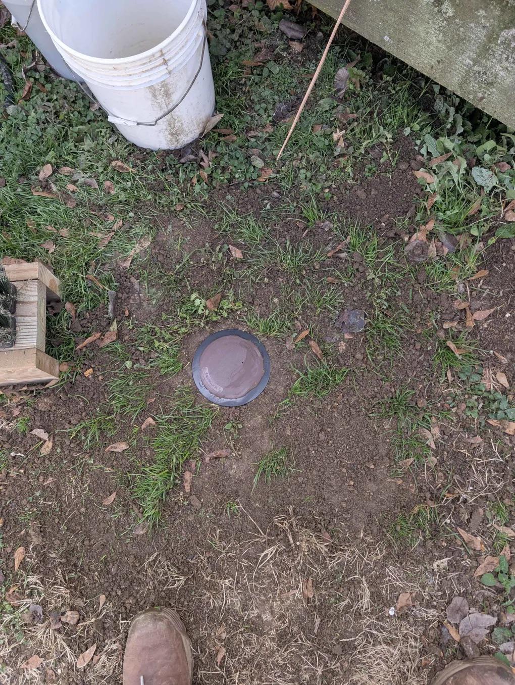 What a Termite Inspection Looks Like Before Closing on a Chattanooga Home