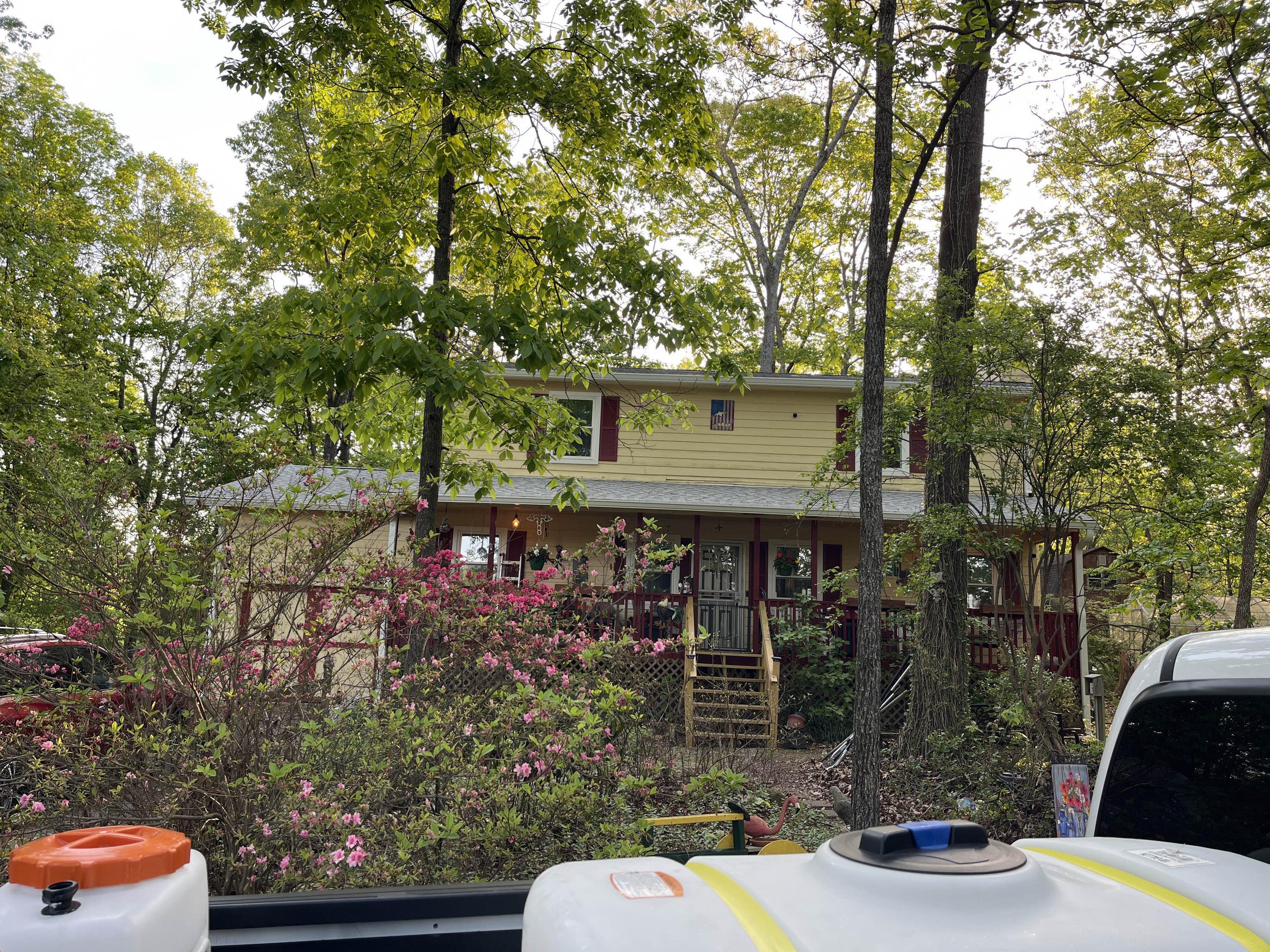 What the Firewood Pile and Fence Line Say About Termite Control in LaFayette, GA
