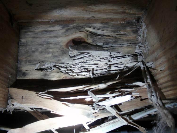 Termite Damage to a Home's Support Beam