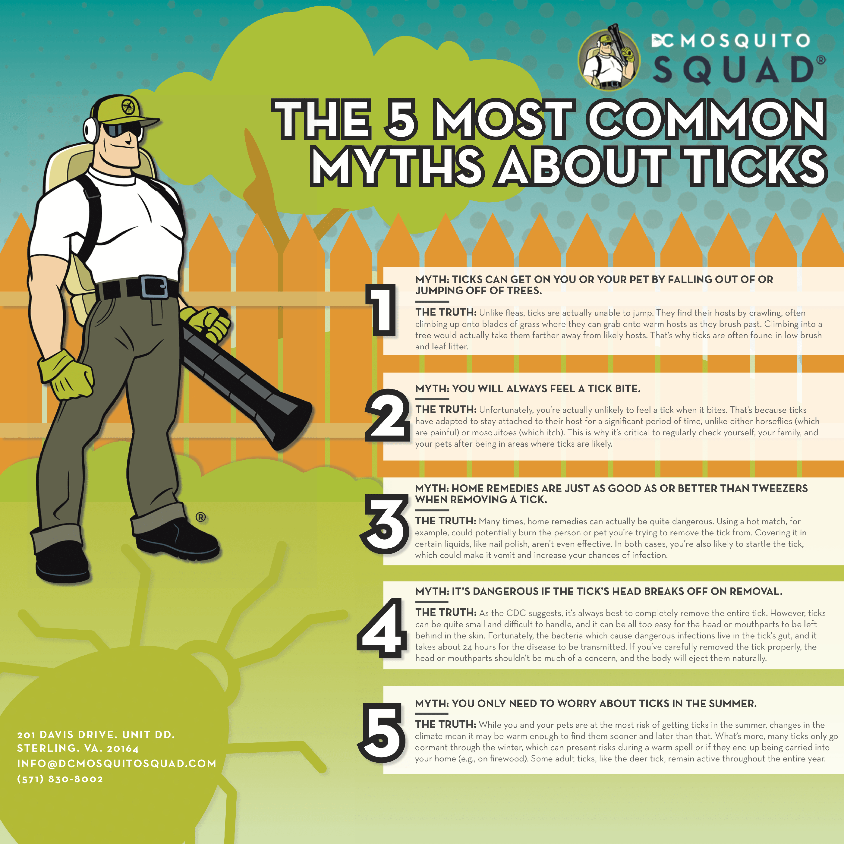 Infographic: The 5 Most Common Myths About Ticks