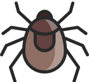 Tick icon