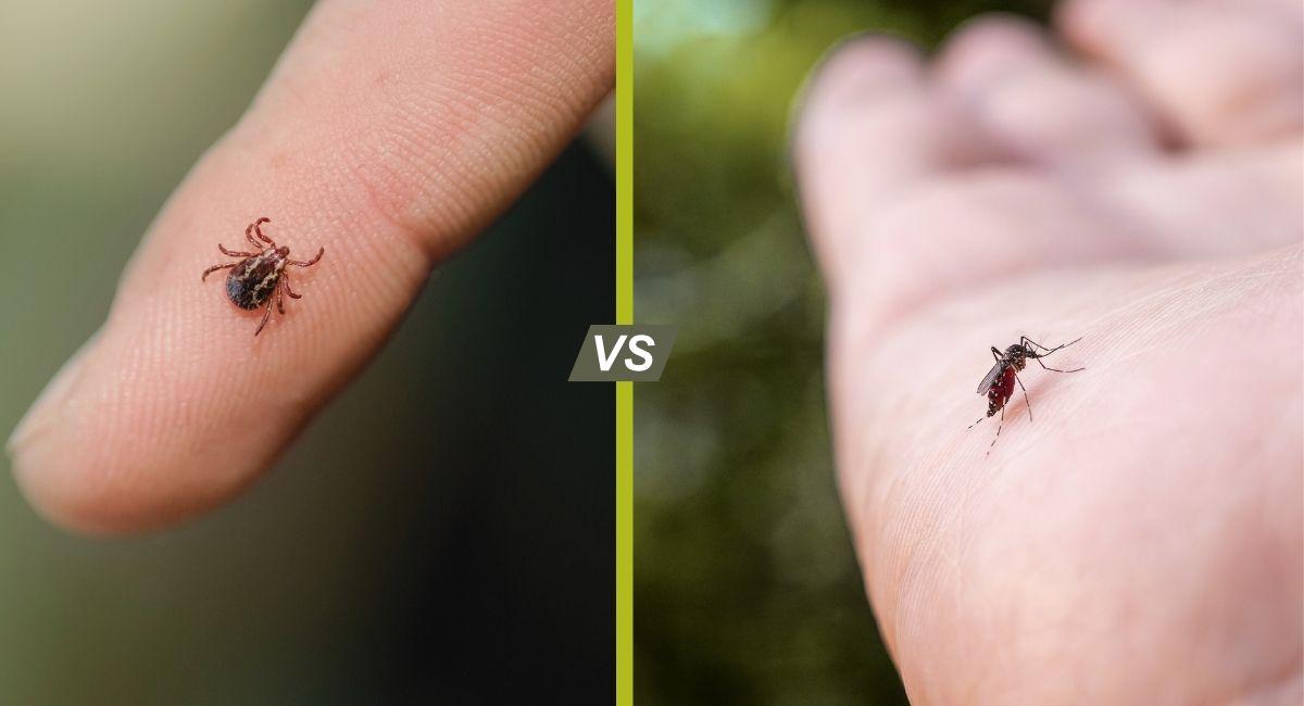 Tick-Borne vs. Mosquito-Borne Illnesses in Tennessee