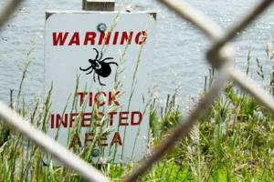 Tick warning sign 