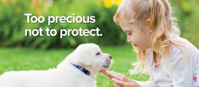 Young girl and puppy in a field