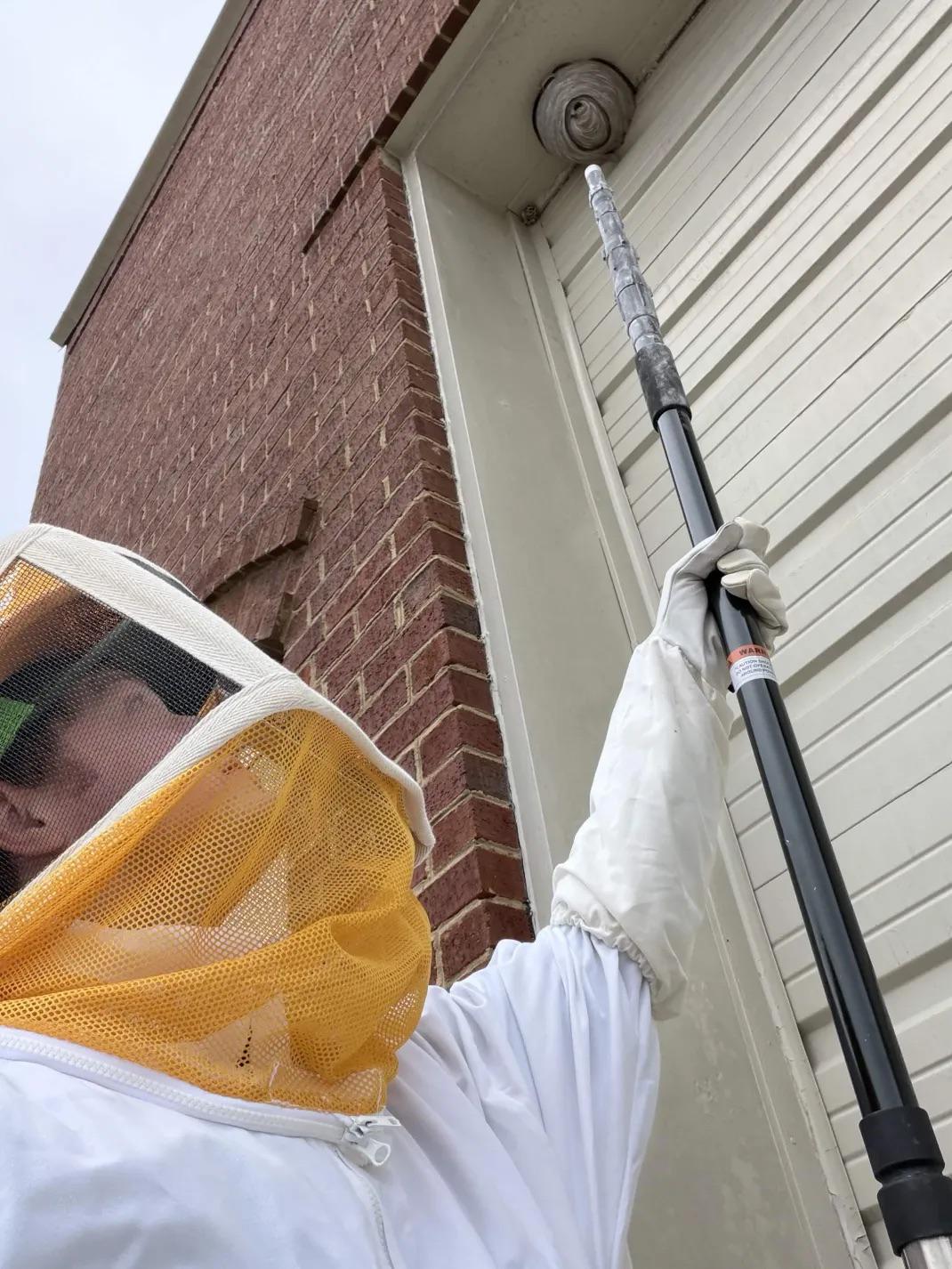 The Wasps on Your Farragut Garage Door Aren't Building a Nest. They're Picking a Place to Spend the Winter.