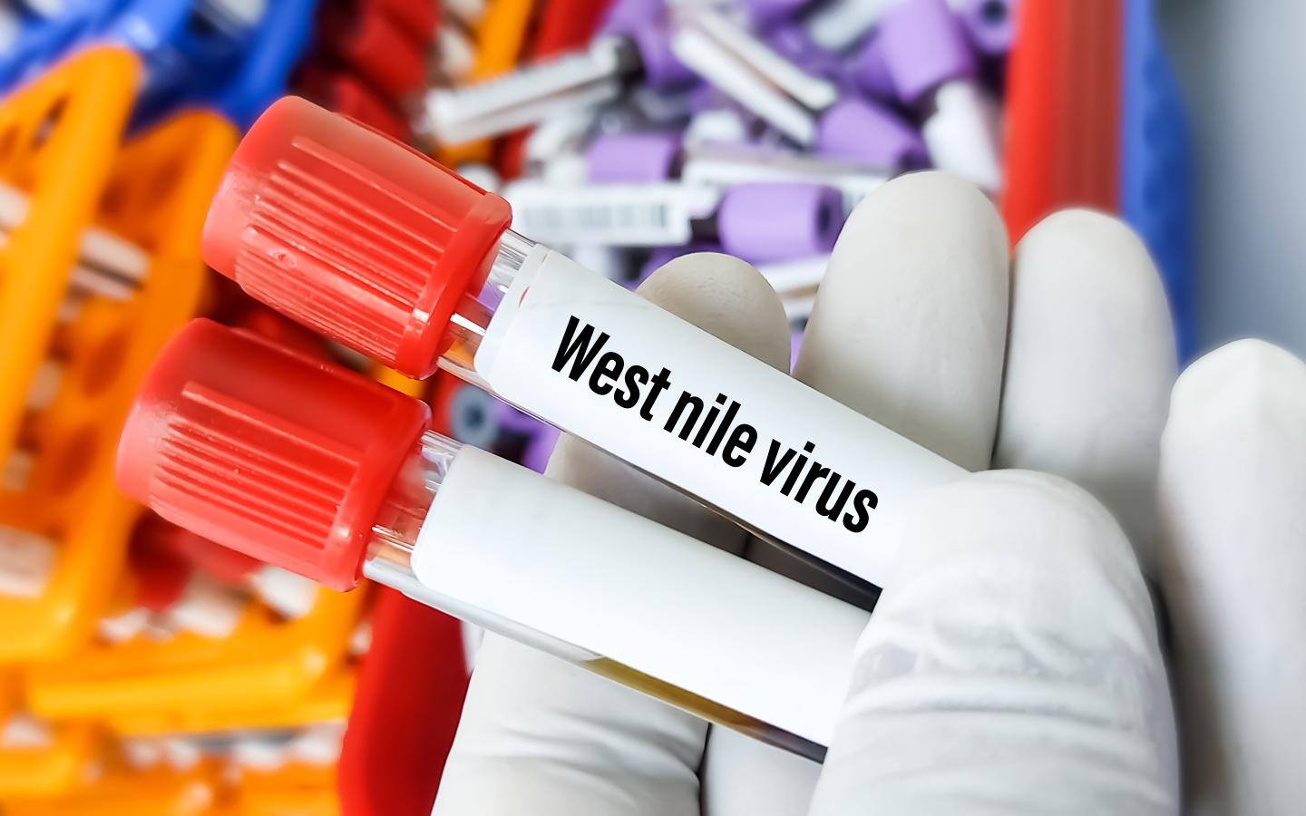 Understanding West Nile Virus: How to Help Protect Against Mosquitoes in Greater Atlanta