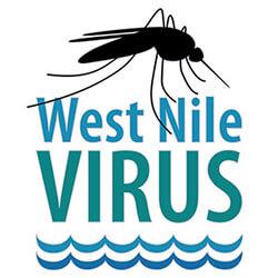 west nile virus 