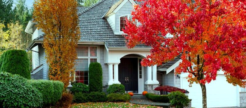 Why do pests get into your home in the fall?