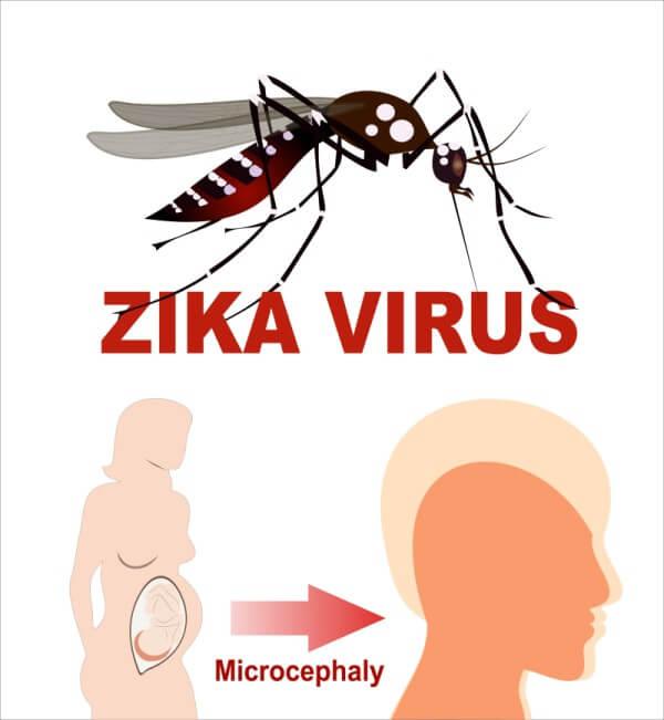 zika virus in Jacksonville