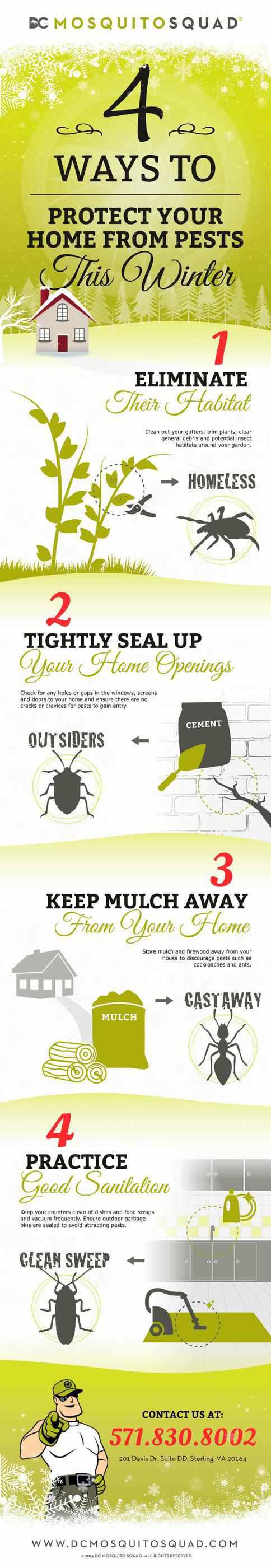 4 Ways to Protect Your Home From Pests This Winter